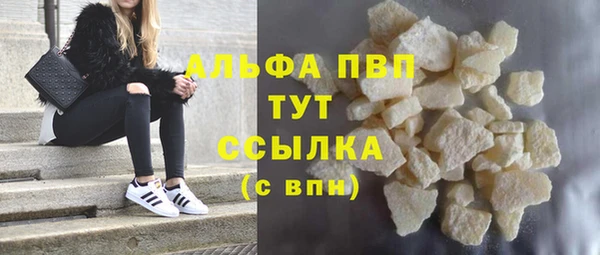 spice Аркадак