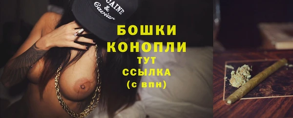 spice Аркадак