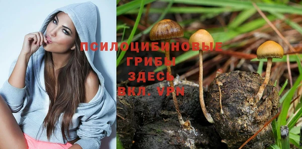 герыч Армянск