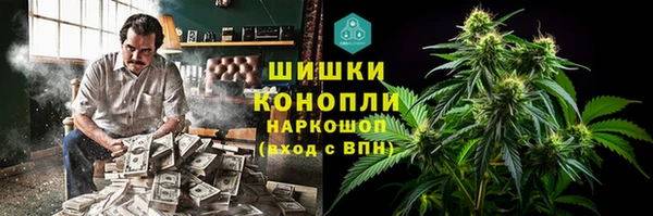 spice Аркадак