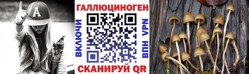 Псилоцибиновые грибы MAGIC MUSHROOMS  Верхняя Салда 